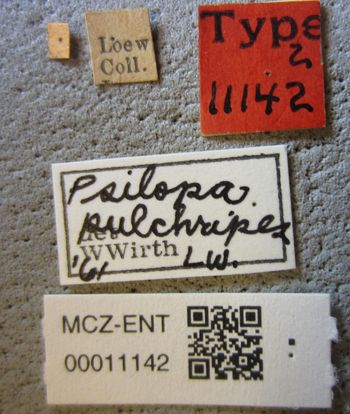 Media type: image;   Entomology 11142 Aspect: labels
